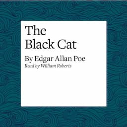 The Black Cat