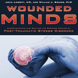 Wounded Minds