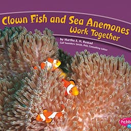 Clown Fish and Sea Anemones Work Together