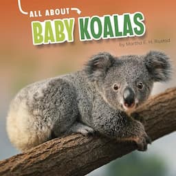 All About Baby Koalas