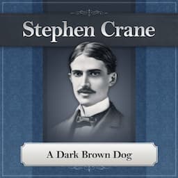 A Dark Brown Dog