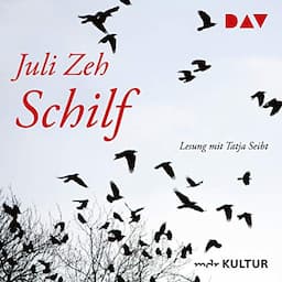 Schilf