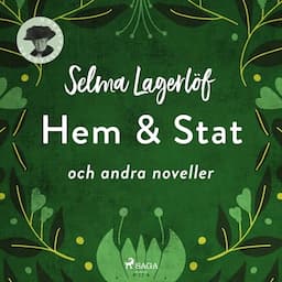 Hem &amp; Stat och andra noveller