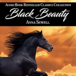 Black Beauty