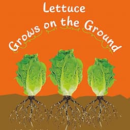 Lettuce Grows on the Ground