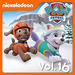 Paw Patrol 16