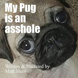 My Pug Is an Asshole