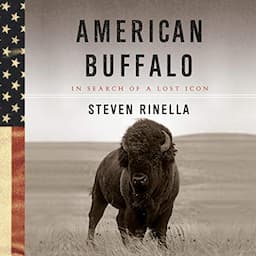 American Buffalo