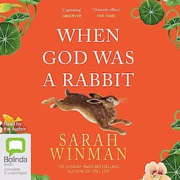 When God Was a Rabbit