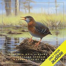 Virginia Rail Singing Near Gurgling Stream in Marshlands of Oregon