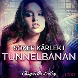 S&ouml;ker k&auml;rlek i tunnelbanan - erotisk novell