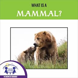 What Is a Mammal?