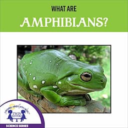 What Are Amphibians?