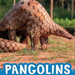 Pangolins