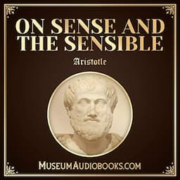 On Sense and the Sensible