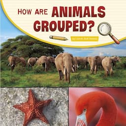 How Are Animals Grouped?