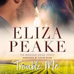 Trouble Me (A Small Town Billionaire Romance)