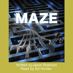 The Maze