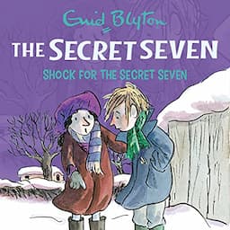 Shock for the Secret Seven