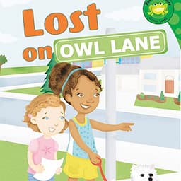 Lost on Owl Lane