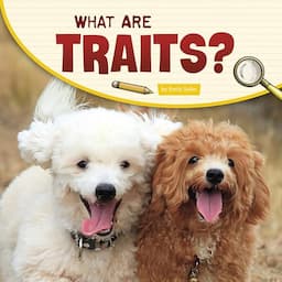 What Are Traits?