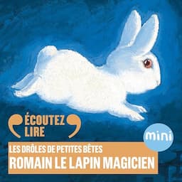 Romain le lapin magicien