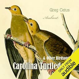 Carolina Turtledove and Other Birdsongs