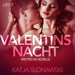 Valentinsnacht. Erotische Novelle