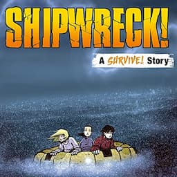 Shipwreck!