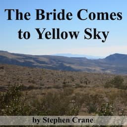 The Bride Comes to Yellow Sky