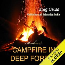 Campfire in Deep Forest