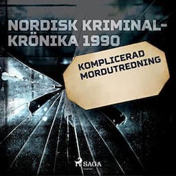 Komplicerad mordutredning