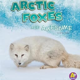 Arctic Foxes Are Awesome