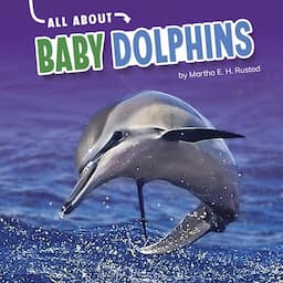 All About Baby Dolphins