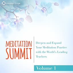 The Meditation Summit: Volume 1