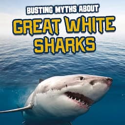 Busting Myths About Great White Sharks