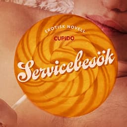 Servicebes&ouml;k - erotisk novell