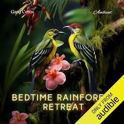 Bedtime Rainforest Retreat