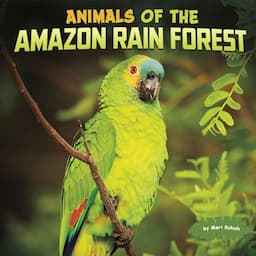 Animals of the Amazon Rain Forest