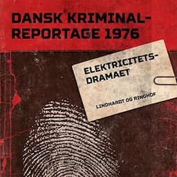 Elektricitetsdramaet