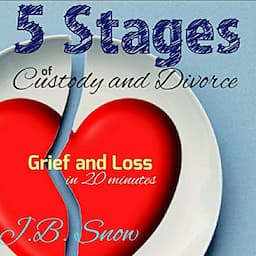 5 Stages of Custody and Divorce