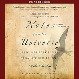 Notes from the Universe