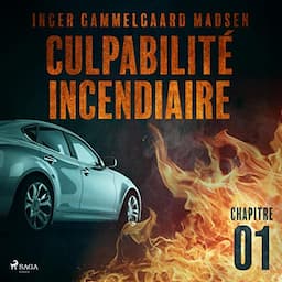 Culpabilit&eacute; incendiaire 1