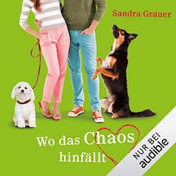 Wo das Chaos hinf&auml;llt