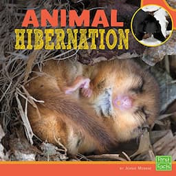 Animal Hibernation