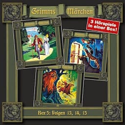 Grimms M&auml;rchen, Box 5 - Folgen 13, 14, 15