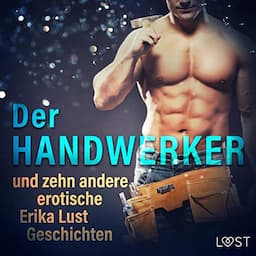 Der Handwerker und zehn andere erotische Erika Lust Geschichten