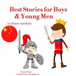 Best stories for boys and young men in Chinese Mandarin