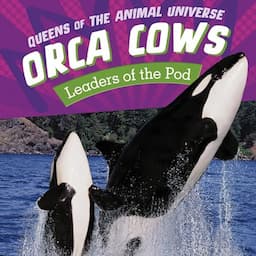 Orca Cows: Leaders of the Pod