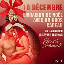 16 d&eacute;cembre : Livraison de No&euml;l avec un gros cadeau - Un calendrier de l'Avent &eacute;rotique